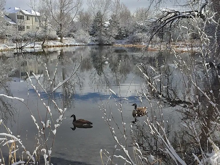 Bell Dr — Photo 46