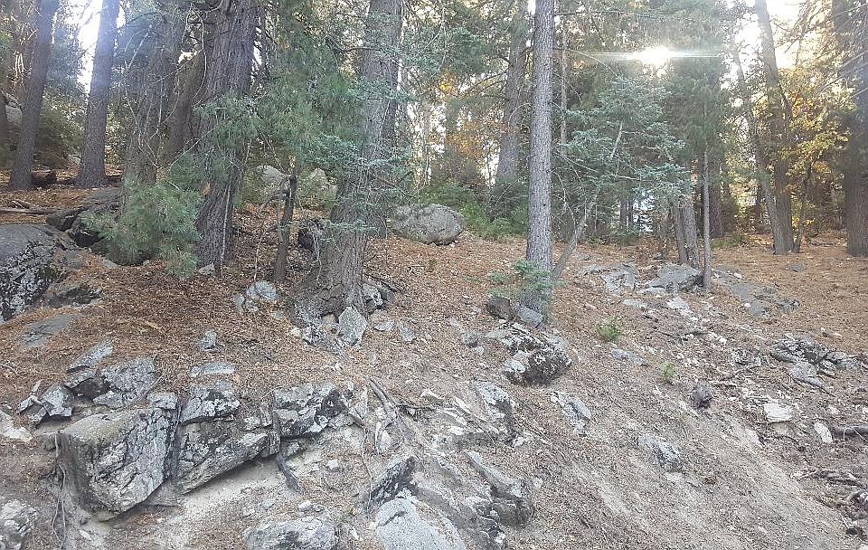 1st image of Forest Lane Dr
