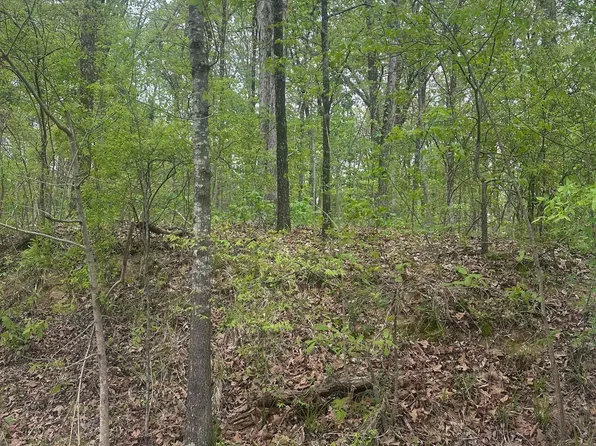 8768/8750 Bobwhite Dr Lot 61 & 62, Hernando, MS 38632