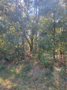 106 Place SW, Dunnellon, FL, 34432