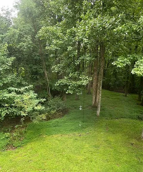 125 Linden Turn — Photo 18