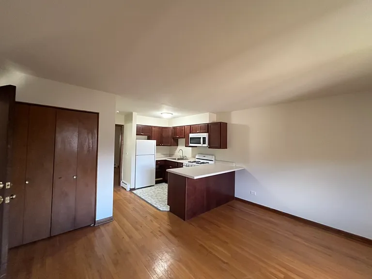 872 N Milwaukee Ave #D-1 — Photo 5