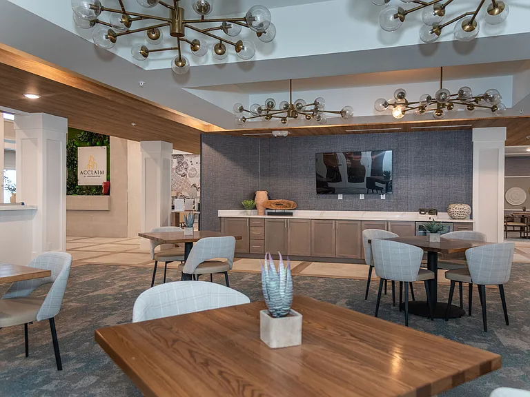 Acclaim at Greenbrier — Photo 44