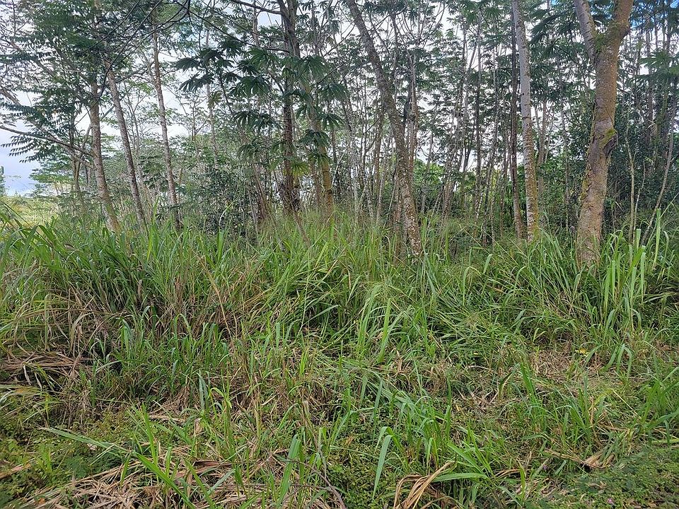 2nd image of Makuu Dr Lot 138