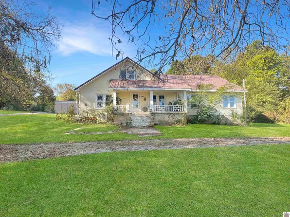 3289 Roosevelt Rd, Dexter, KY 42036