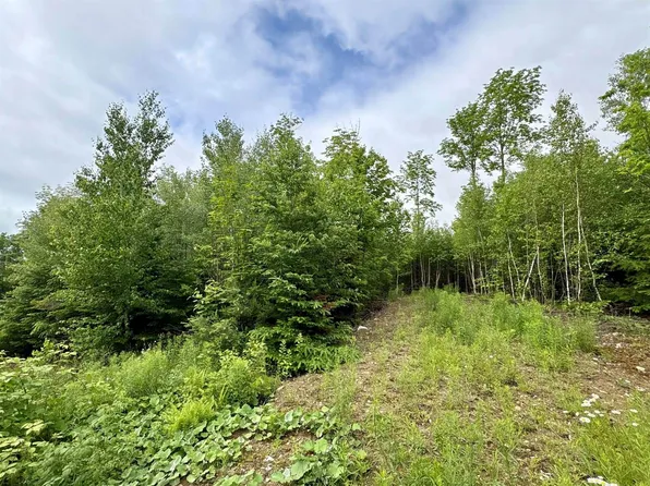 LOT 5 Mount Jefferson Hts, Lee, ME 04455