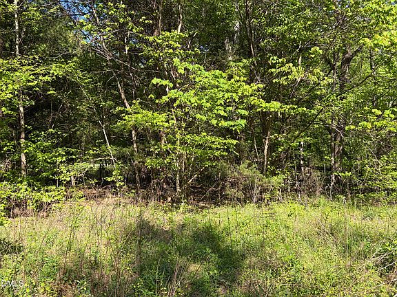 3rd image of N/a Bethel South Fork Rd