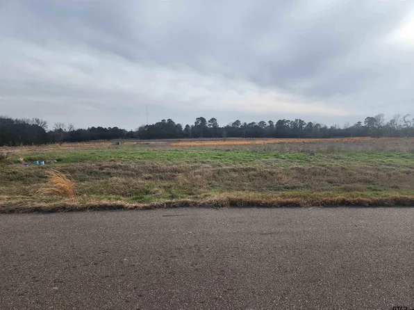 52 Southshore, Pittsburg, TX 75686