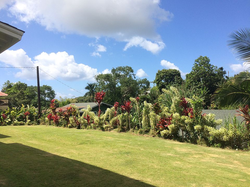 Nicely hedged plants