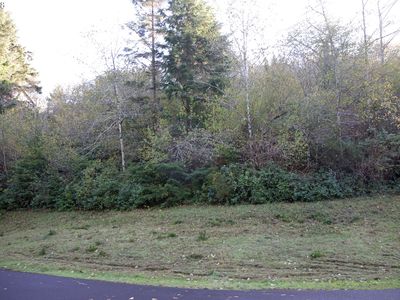 15 Dewolf Rd, Nehalem, OR, 97131