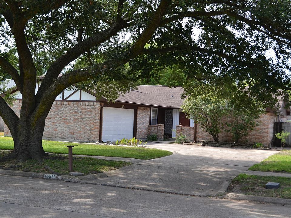 150 year oak in front yard