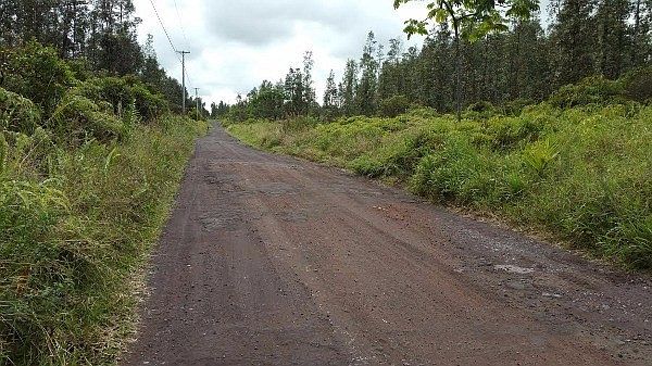 2nd image of Aulii St