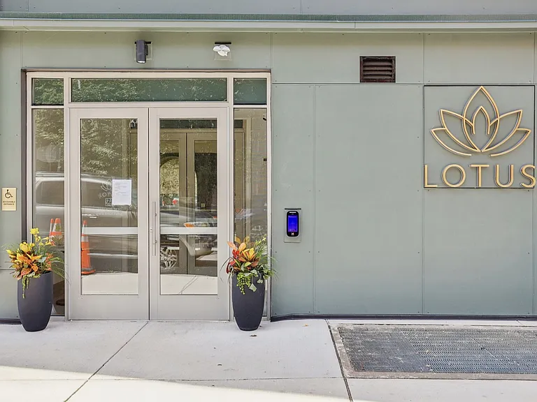 Lotus — Photo 35