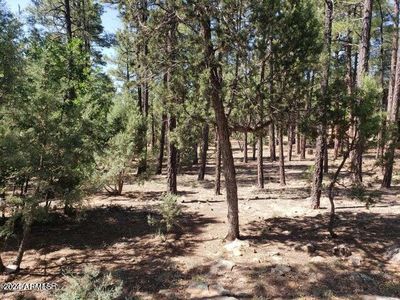 4200 W Acer Ln #442, Show Low, AZ, 85901