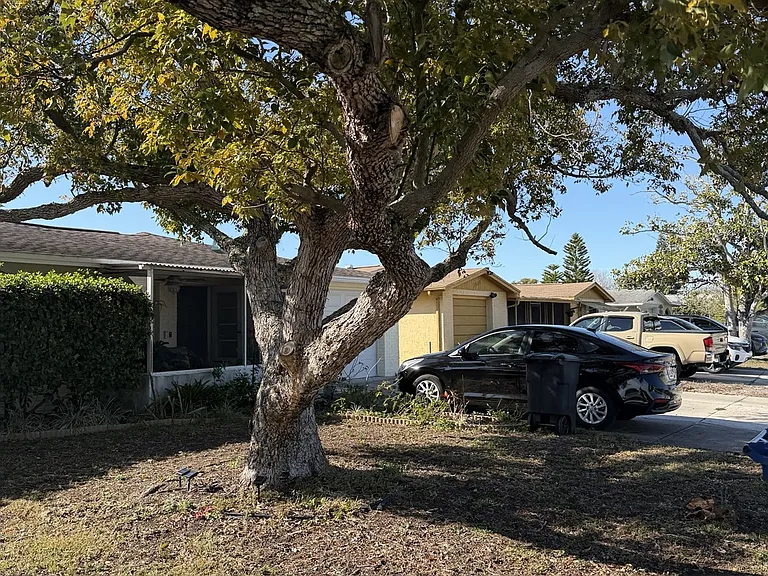 Almond Dr — Photo 12