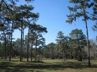 15517 W County Line Rd, Odessa, FL 33556