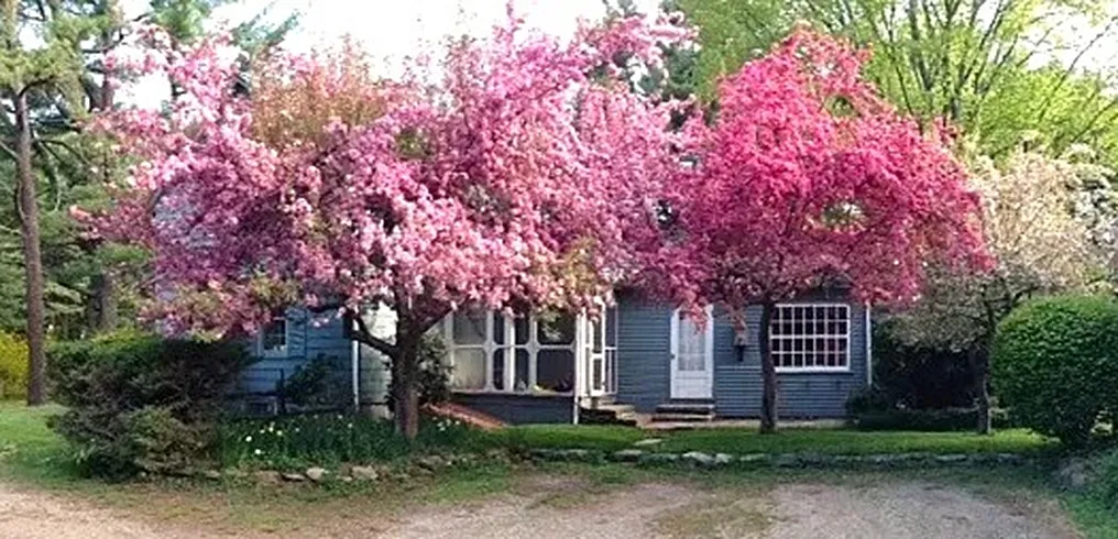 12 W Pelham Rd — Photo 1