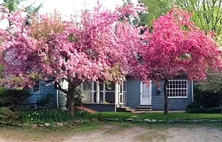 12 W Pelham Rd — Photo 1