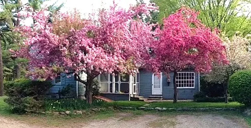 12 W Pelham Rd