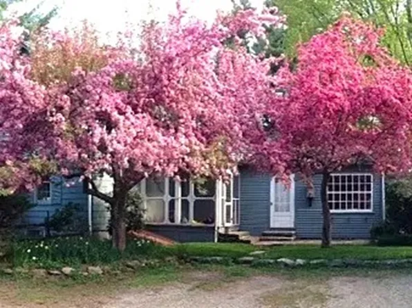 12 W Pelham Rd, Shutesbury, MA 01072