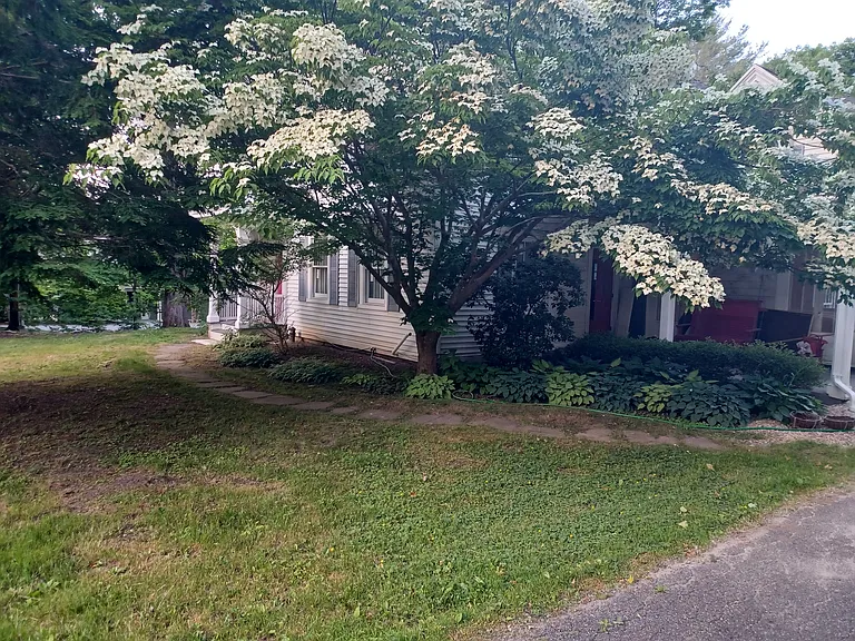 Main St — Photo 8
