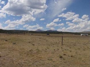 100 W Highway 24, Hartsel, CO 80449