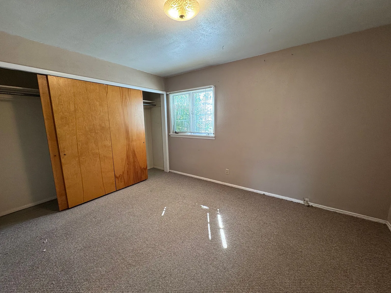 1 bed, 1.0 bath, $700 — Photo 4