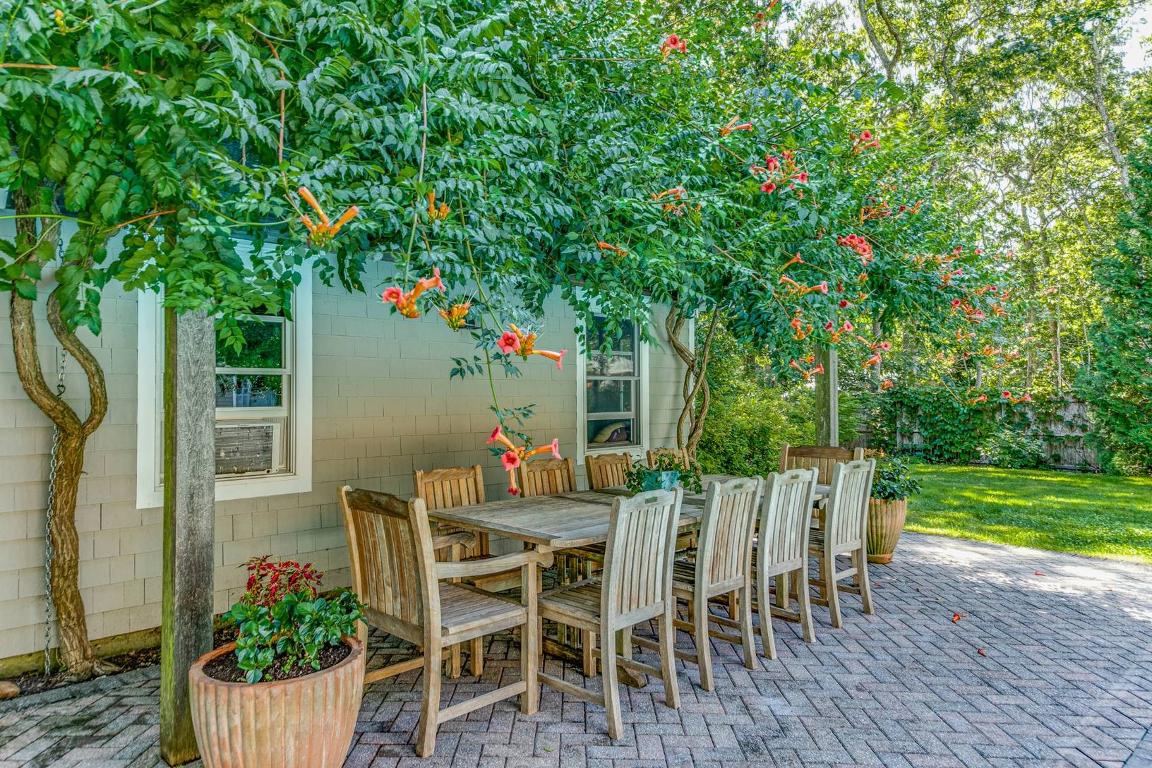  Arbor Canopied With Trumpet Vines For Dining AL Fresco