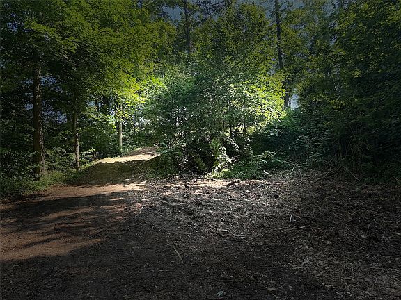 5th image of 11544 E Lake Rd
