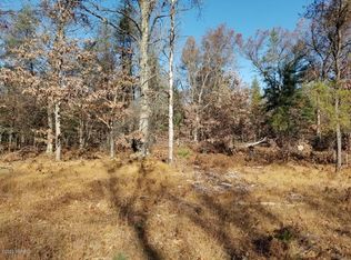 5633 S Twin Creek Rd, Idlewild, MI 49642