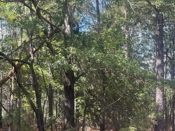 0 Ferry Lake Rd Tract A, Oil City, LA 71061