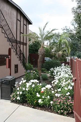 2527 Elm Ave #B — Photo 21