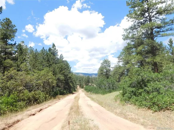 4977 Mohawk Drive, Larkspur, CO 80118