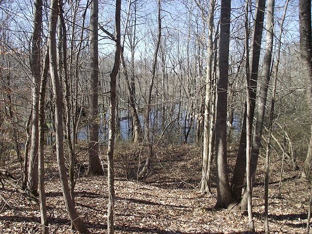 1st image of 605 Parkers Camp Ln