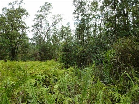3rd image of Lanai St Lot 677