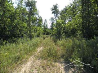 N Mason Rd, Wheeler, MI 48662