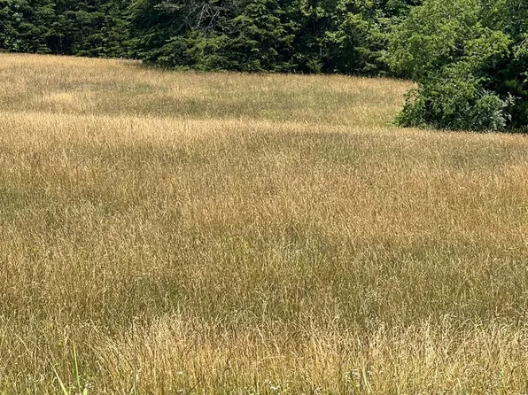 LOT Three Dearborn Rd #55-B, Evington, VA 24550