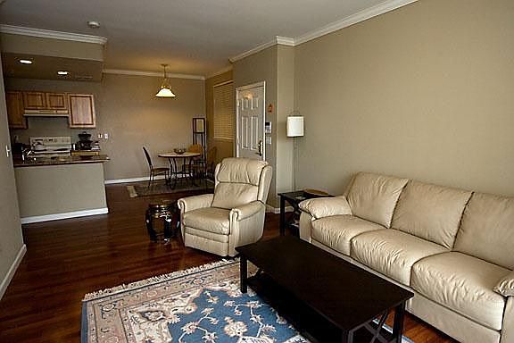Living room and wood floor