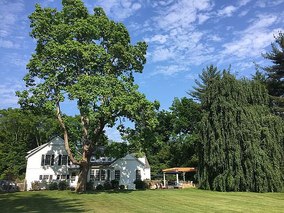 26 Davis Hill Road (back)