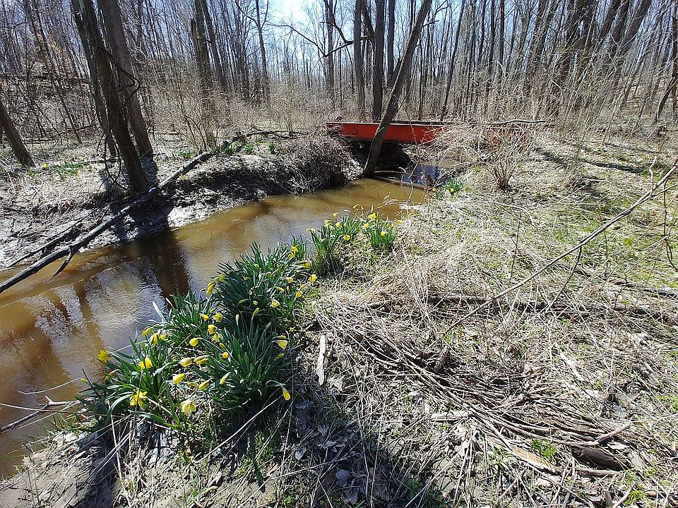 1st image of 9900 Maudlin Rd