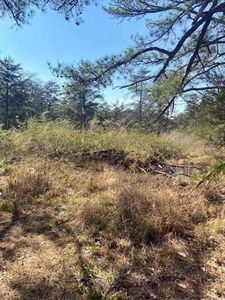 0 County Road 9008, Fort Payne, AL, 35967