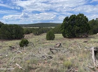 35 Burns Rd, Concho, AZ 85924