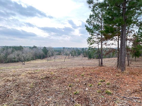 3rd image of County Road 4345