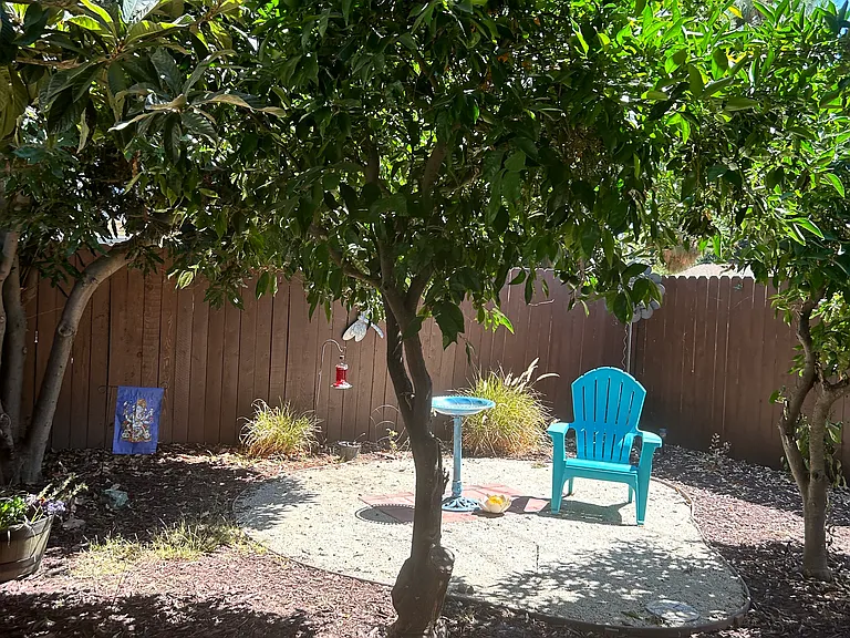 Orange trees and Macadamia nut tree.