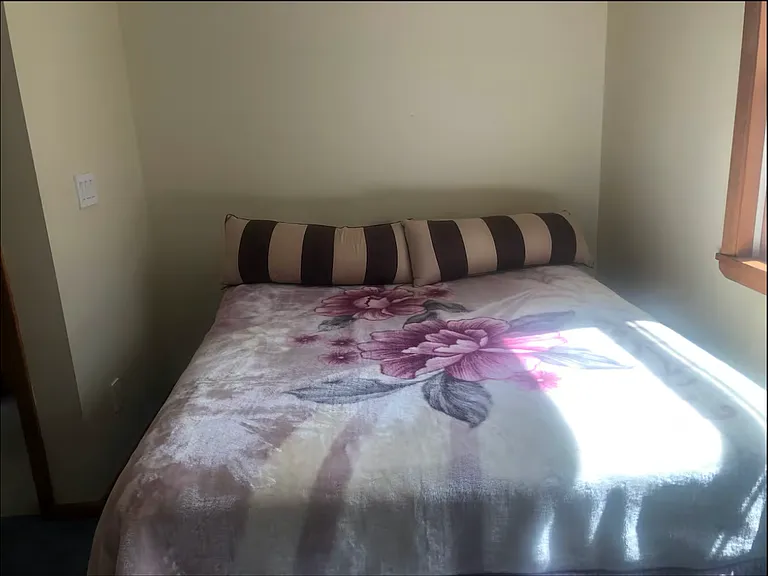 3550 Dogwood Ct — Photo 18