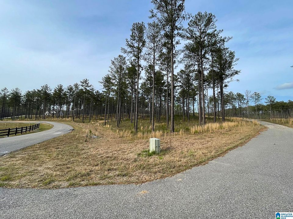 2nd image of 75 Big Pine Dr #1
