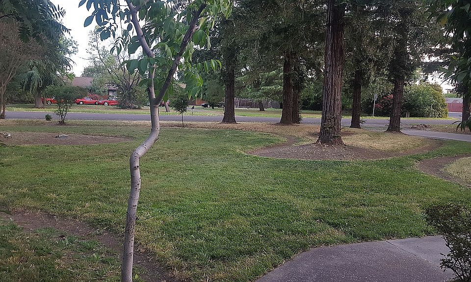 2nd image of 4415 E Gnekow Dr