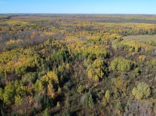 6101 Herranen Rd, Wright, MN 55798