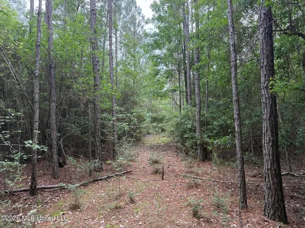 49 Highway, Saucier, MS 39574