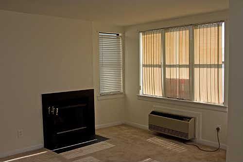 Wood-burning Fireplace